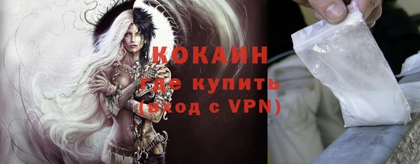 стафф Вязьма