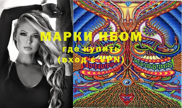 стафф Вязьма