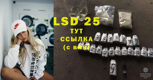 стафф Вязьма