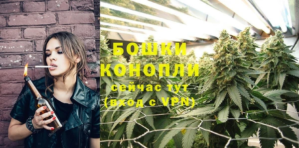 стафф Вяземский